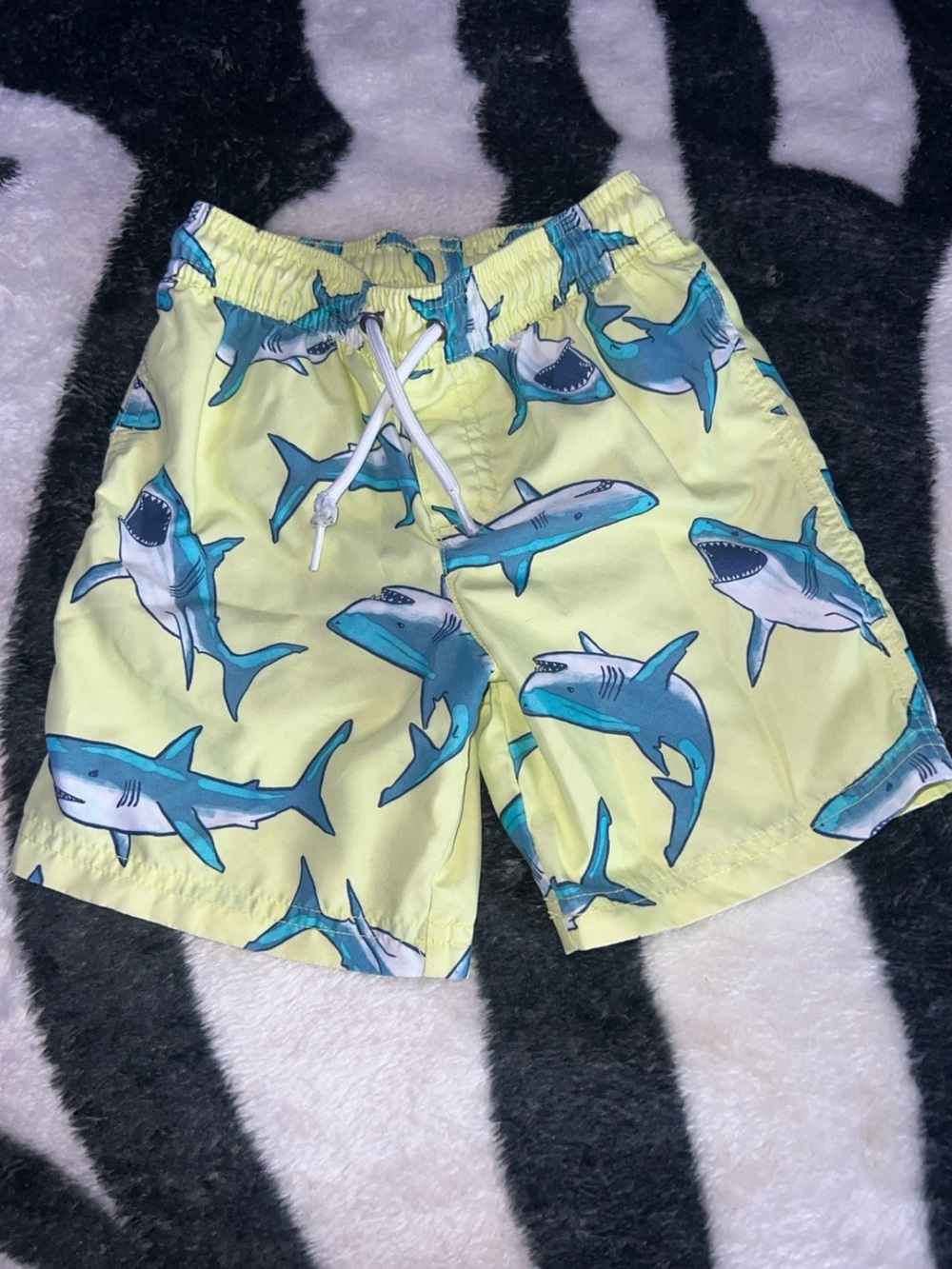 Carter’s Boy Swim Shorts